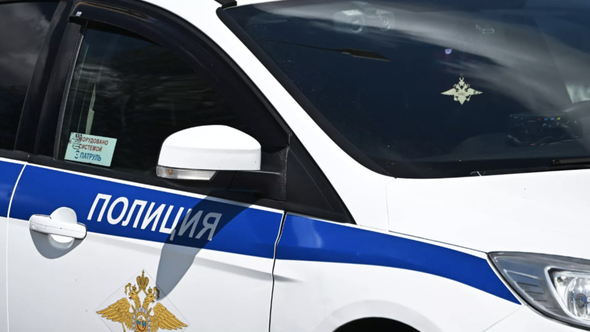 В Москве задержали напавшего с ножом на полицейских мужчину