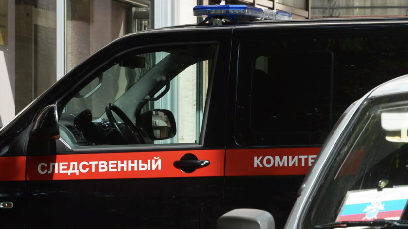 СК возбудил дело из-за нападения с ножом на полицейских