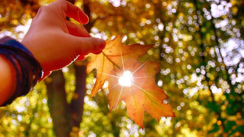 Синоптик Шувалов: погода в сентябре обойдётся без климатических аномалий