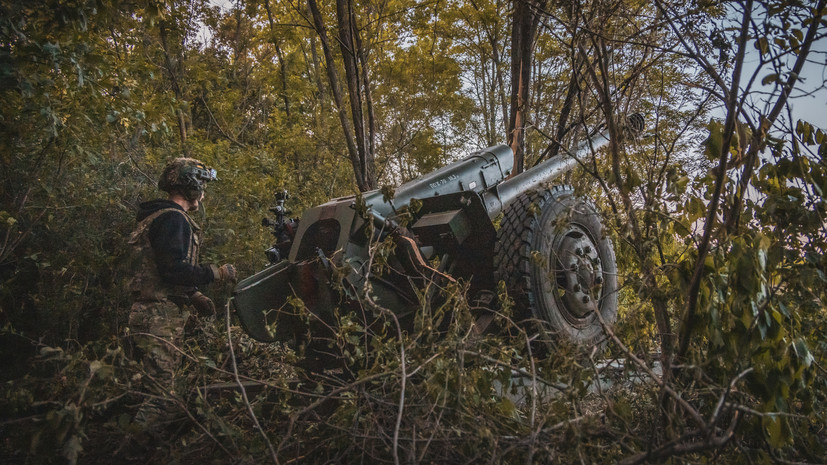 ВСУ нанесли восемь артударов по Каменке-Днепровской
