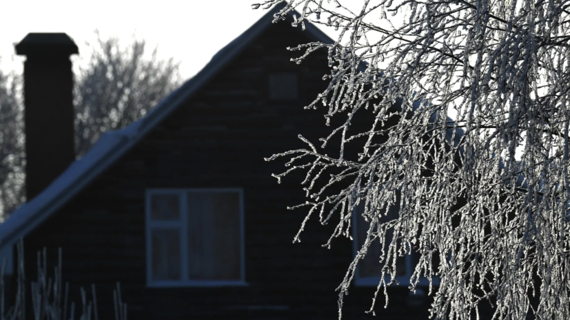 Специалист назвал обрезку деревьев ключевым этапом подготовки участка к холодам