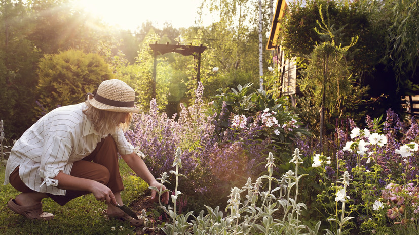 Врач Симкин: после дачных работ не стоит сразу ложиться отдыхать