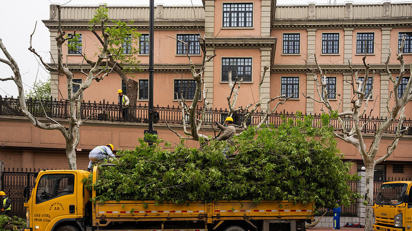 Агроном Воробьёв: ветки деревьев можно обрезать в весенний сезон