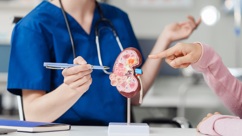 Нефролог Кухтина: болезни почек долго не имеют симптомов