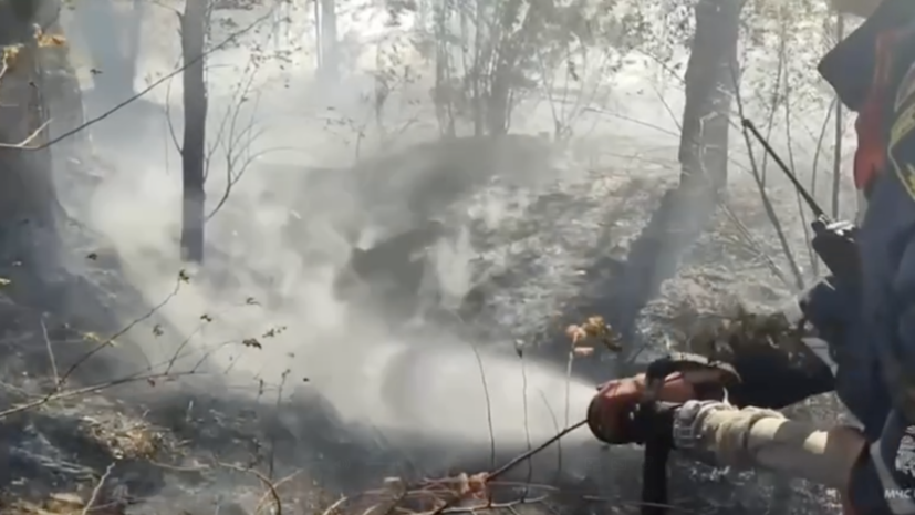 МЧС: сухая растительность горит в Крыму на площади 70 га