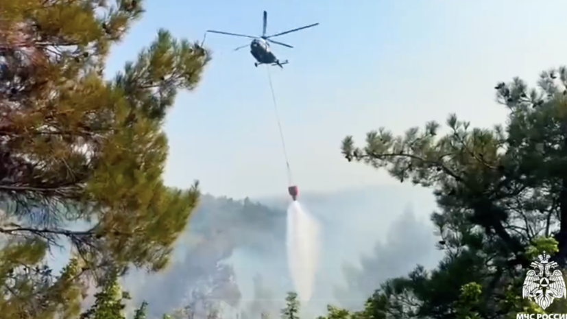 МЧС: площадь лесного пожара под Геленджиком достигла 19 га