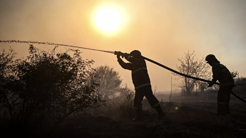 Кондратьев: площадь лесного пожара под Геленджиком выросла до 32 га