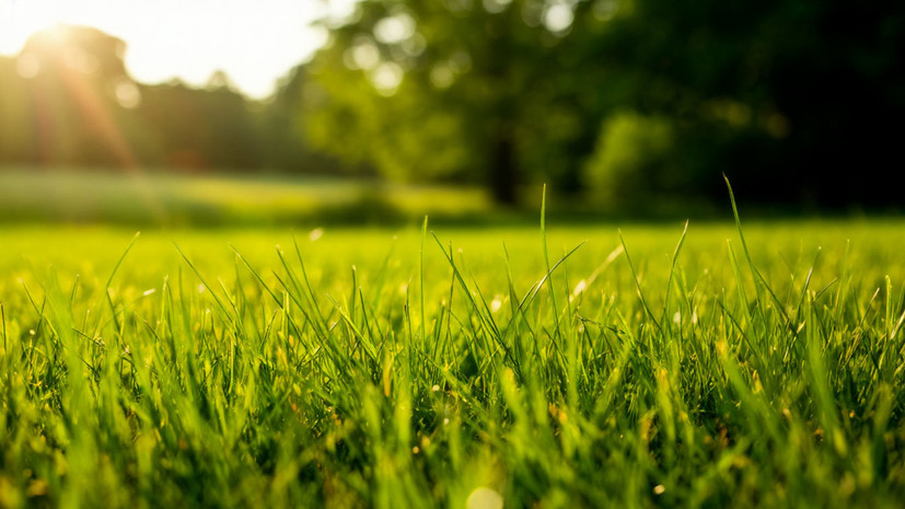 Температура почвы в Челябинской области повышалась до +60 °С в августе