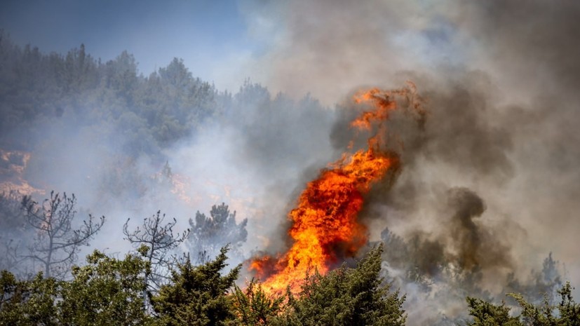 Природный пожар около посёлка в Севастополе полностью ликвидирован