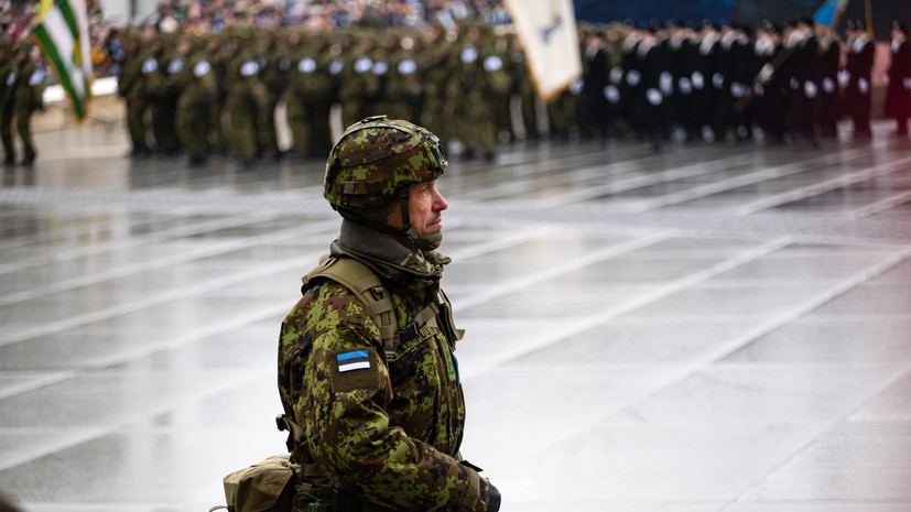 РИА Новости: офицер эстонского спецназа ликвидирован в Сумской области