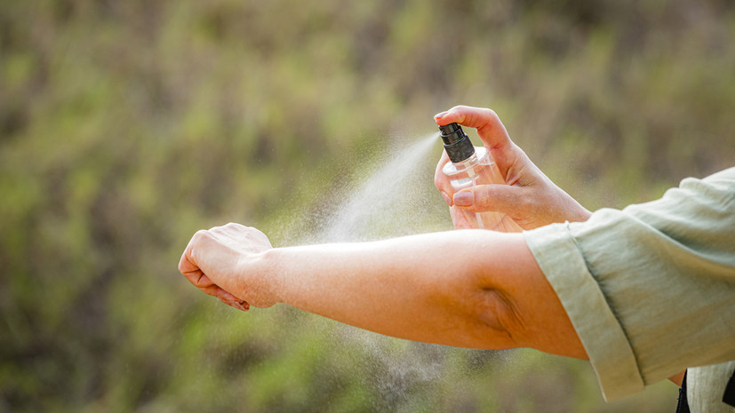 Вирусолог посоветовал использовать репелленты для профилактики заражения чикунгуньей