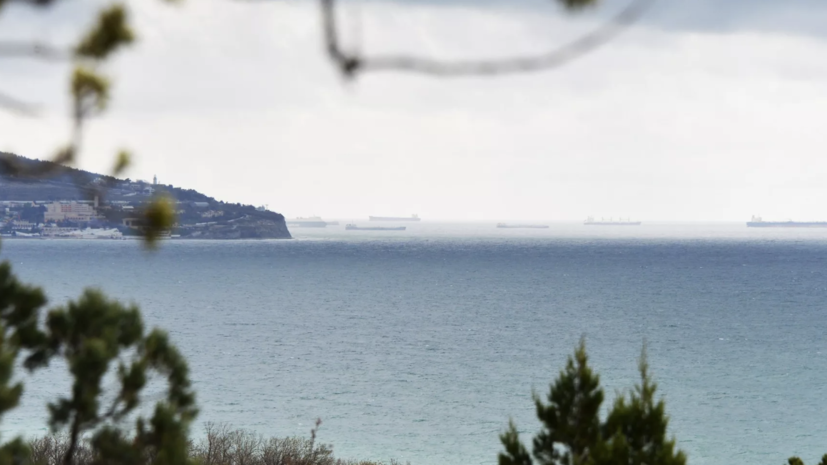 КТК завершает основные работы по ликвидации разливов нефти в Чёрном море