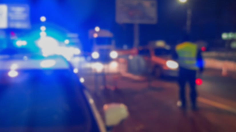 Депутат Литвинов: Киев мог ликвидировать Парубия из-за политического веса