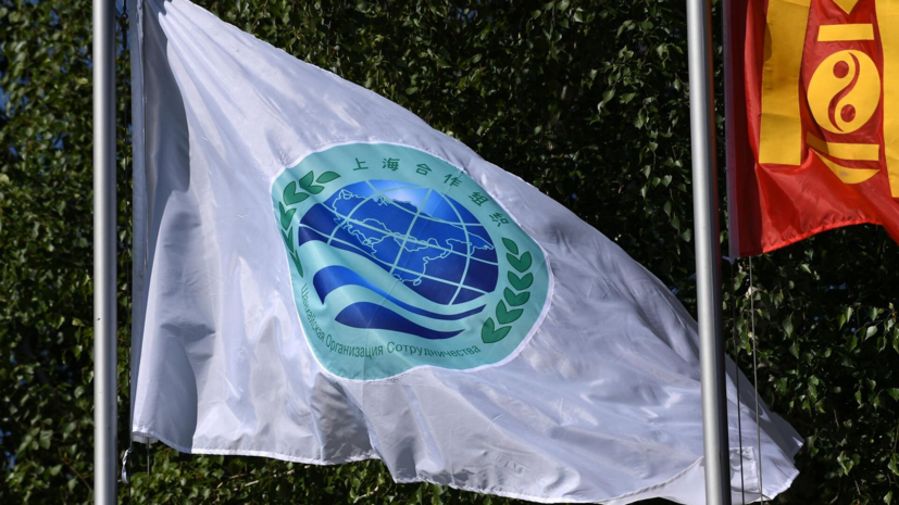 Лукашенко: ШОС уверенно становится дипломатическим игроком глобального уровня