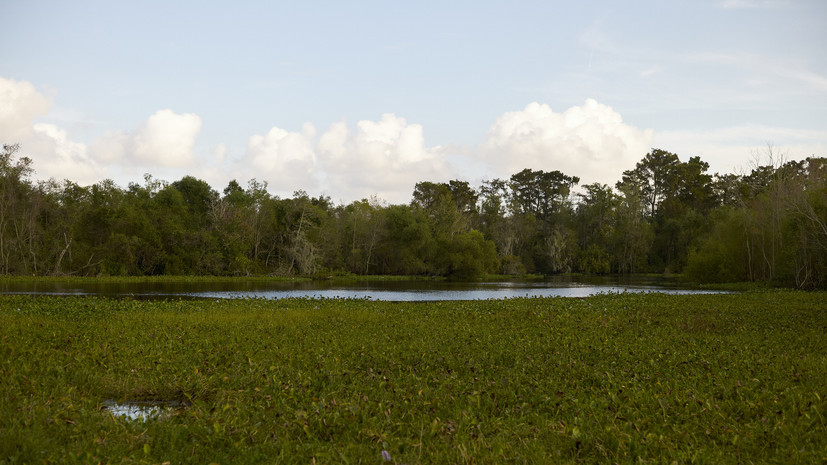 В Литве призвали начать программу восстановления болот на границе с Белоруссией