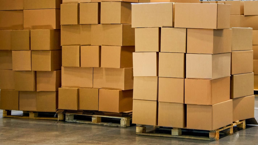 НКО Москвы собрали 10 т гумпомощи для бойцов СВО и детей из новых регионов