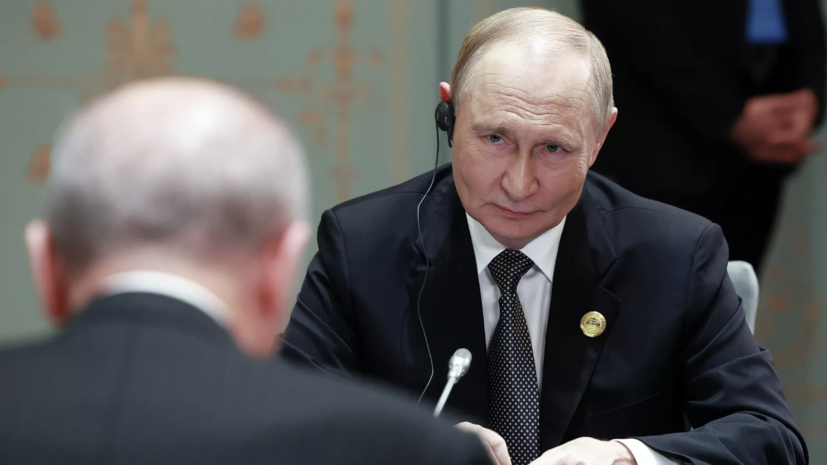 Путин: Россия удовлетворена динамикой торгово-экономических отношений с Турцией