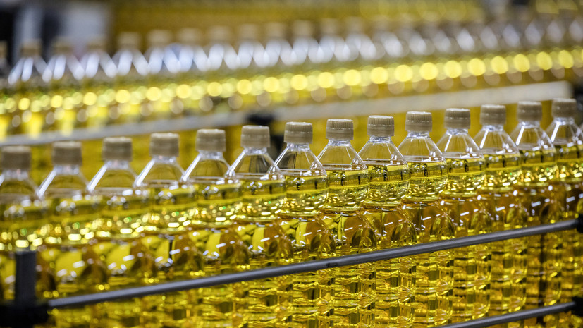 OleoScope: производство растительных масел в России сократилось на 7%