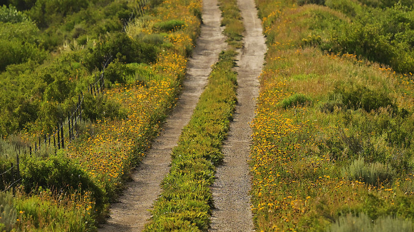 В Подмосковье рассказали о программе модернизации просёлочных дорог