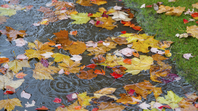 Психотерапевт Крашкина: начало осени может негативно повлиять на настроение