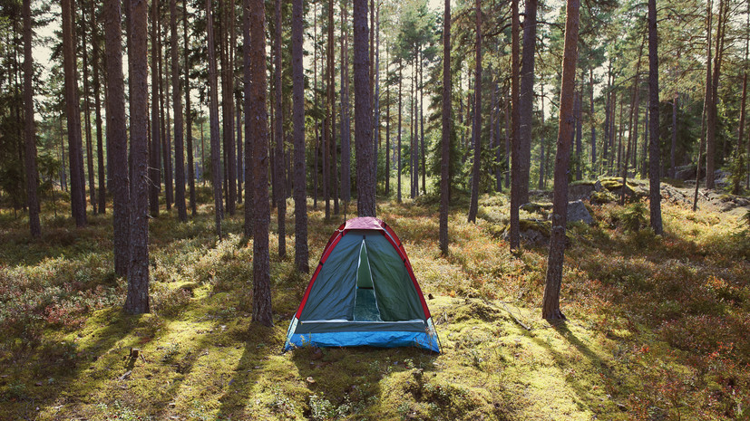 Юрист Хаминский разъяснил, при каком условии за палатку в лесу положен штраф
