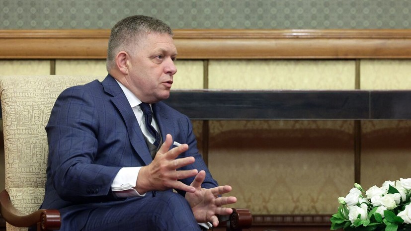 Песков объяснил слова премьера Словакии Фицо о «жабе на дне колодца»