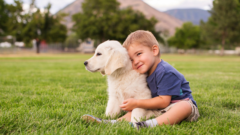 Ветеринар Онуфриенко: питомцы учат детей быть добрее