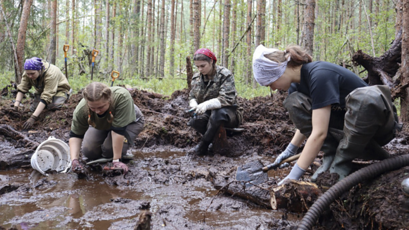 Тюменские поисковики обнаружили останки 36 бойцов в рамках акции «Вахта памяти»