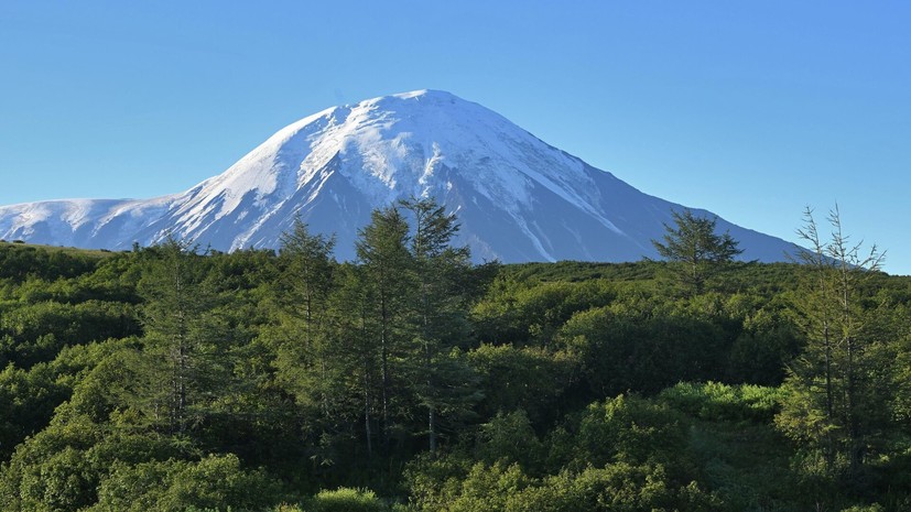 Солодов: Камчатский край системно повышает сейсмическую устойчивость территории