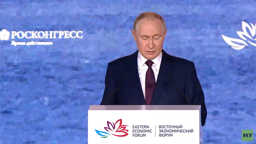 Путин: учёт редкоземельных металлов в России налажен