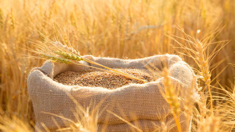 В России с начала года собрали 100 млн тонн зерна