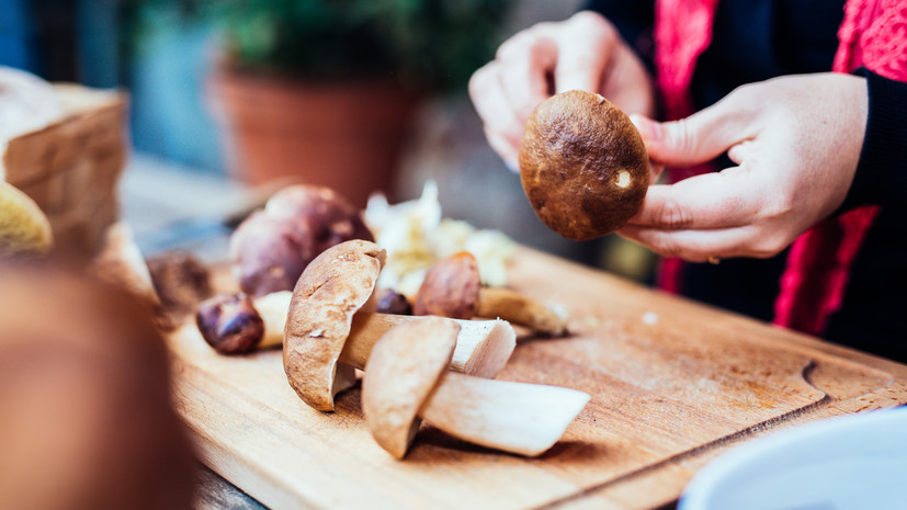 Врач Евлашева назвала категории россиян, которым нельзя есть грибы