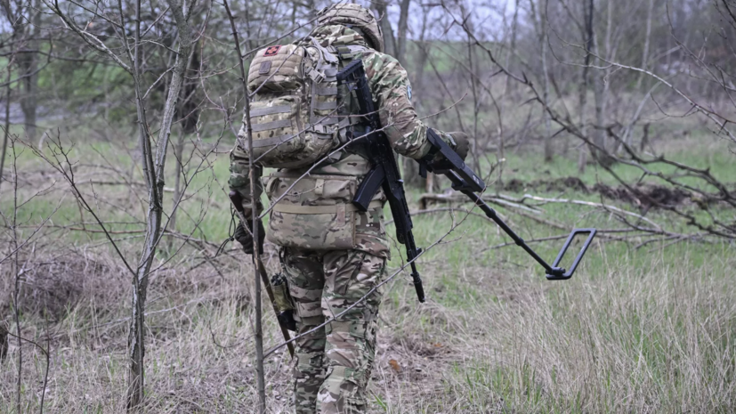 Хинштейн: граждане КНДР участвуют в разминировании Курской области
