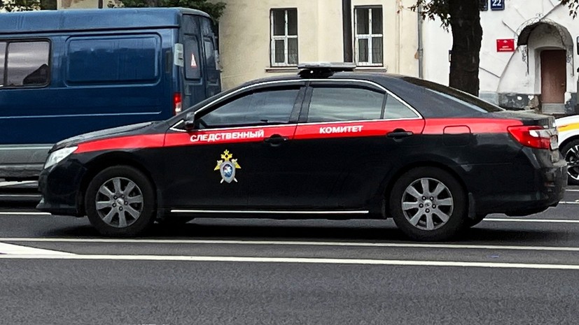 «Вишенка на торте — чума»: СК возбудил дело после публикации издевательств над животными в подмосковной зоогостинице