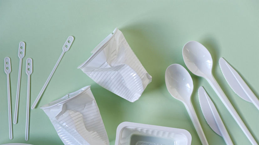 Химик Левакова назвала преувеличением вред для здоровья от одноразовой посуды