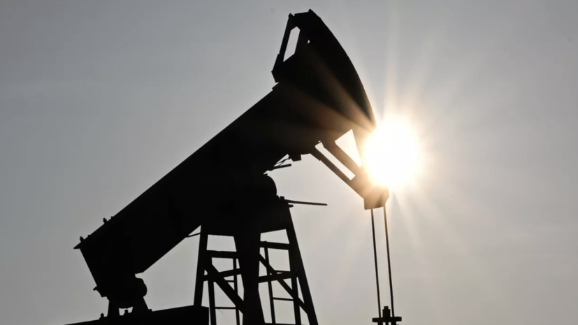 Ситхараман: Индия продолжит закупки российской нефти