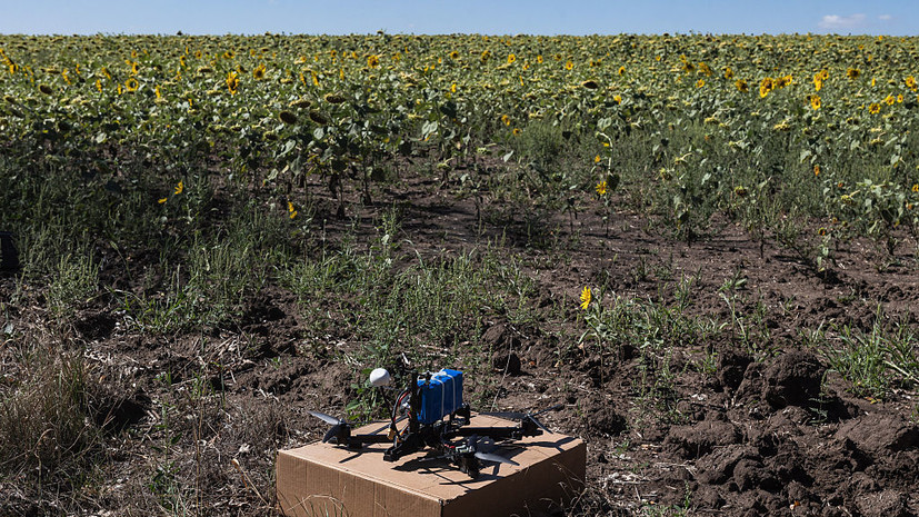 Над двумя районами Воронежской области уничтожены шесть БПЛА