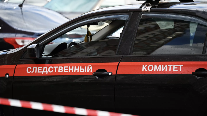 Следком ищет хозяев животных, пострадавших в подмосковном приюте Dogtown