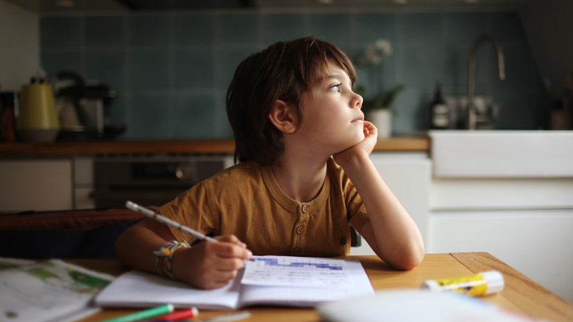 Кравцов прокомментировал идею отмены домашнего задания в школах