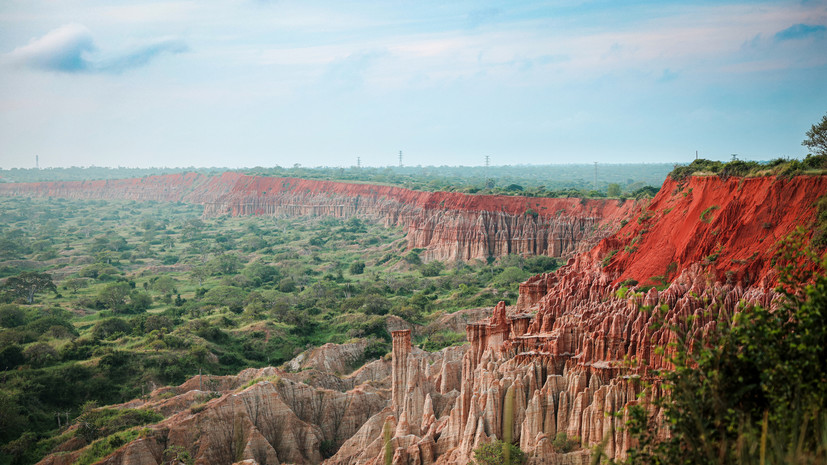 Правозащитники обратились к послу Анголы в России из-за ареста россиянина