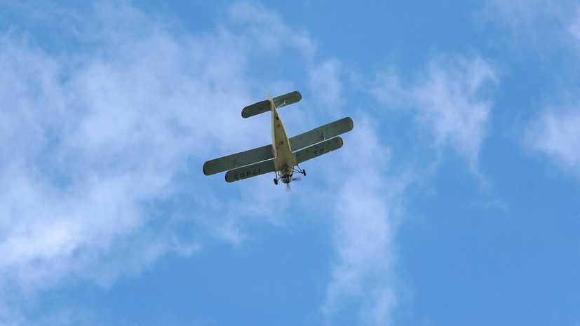 Причиной крушения самолёта в Ростовской области стала ошибка пилотирования