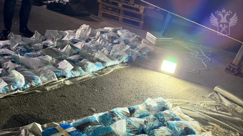 Сотрудники ФТС и ФСБ изъяли 300 кг наркотиков, спрятанных в фуре с яблоками