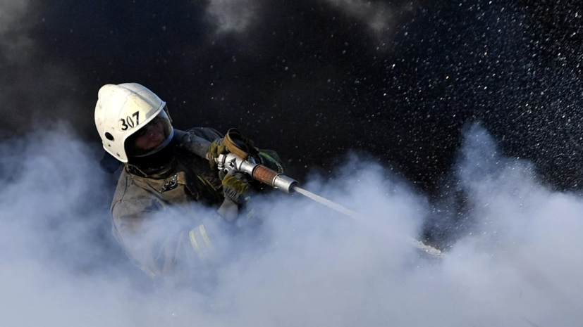 При пожаре в зоопарке Ейска погибли 28 крокодилов и черепаха