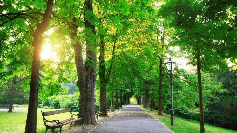 Орнитолог Баранов: зелёные территории помогают в сохранении биоразнообразия