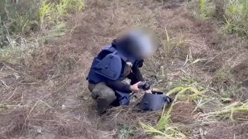 В Курской области от взрывоопасных предметов очищено 500 гектаров