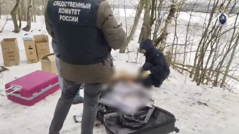 В Петербурге завершился суд по делу о трупе, оставленном у реки в чемоданах