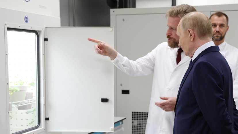 Путину в «Сириусе» показали обновлённый виноград сорта «мерло»