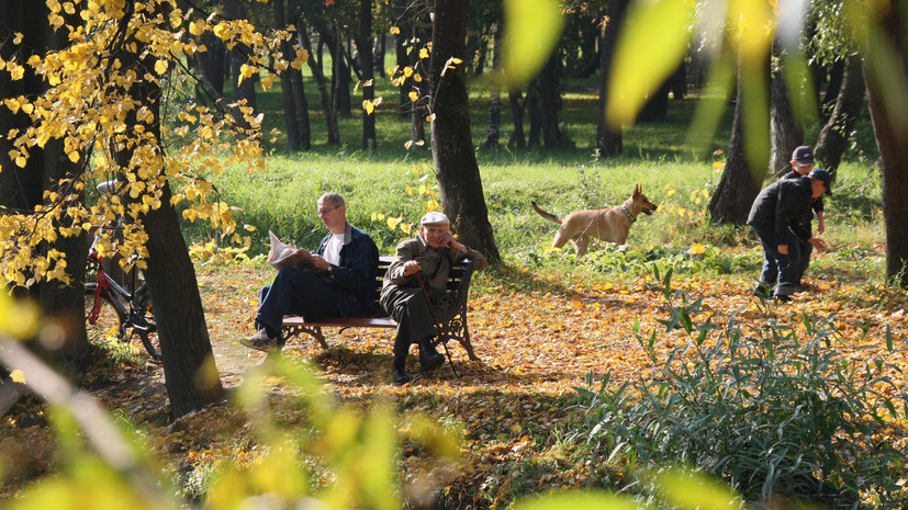 Синоптик Позднякова: бабье лето придёт в Москву в выходные