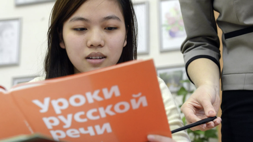 Рособрнадзор: 87% детей мигрантов не могут быть зачислены в школы России