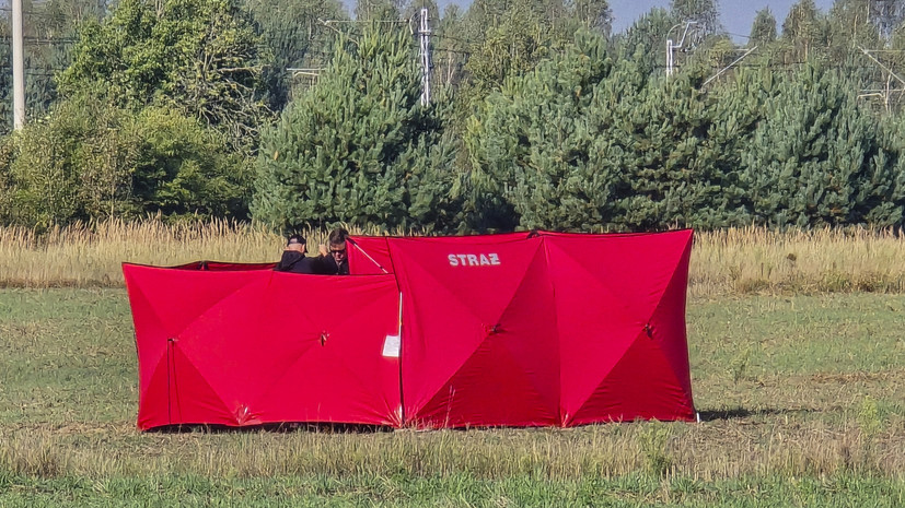 В Кремле переадресовали в Минобороны вопрос о дронах в Польше